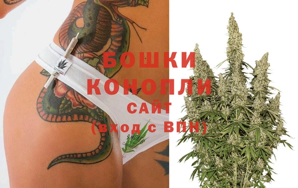 амф Новодвинск