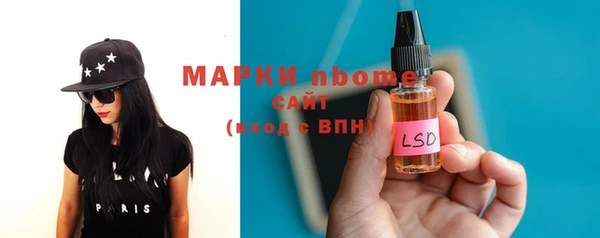 стаф Новозыбков
