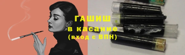 амф Новодвинск