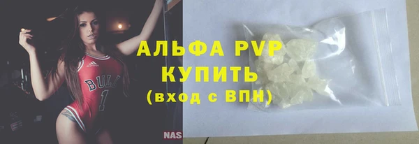 стаф Новозыбков