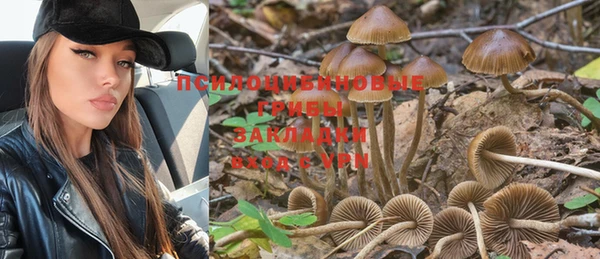 дживик Нягань