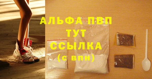амф Новодвинск