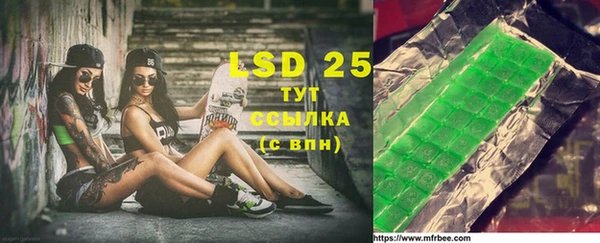 стаф Новозыбков