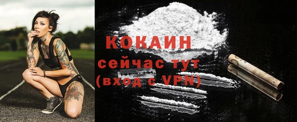 амф Новодвинск