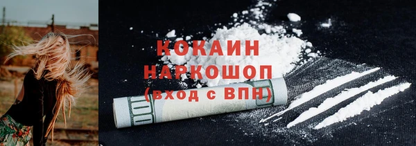 стаф Новозыбков