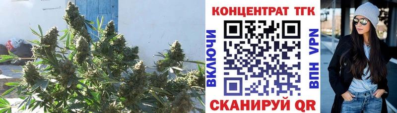 Купить  Зеленокумск  ТГК Wax 